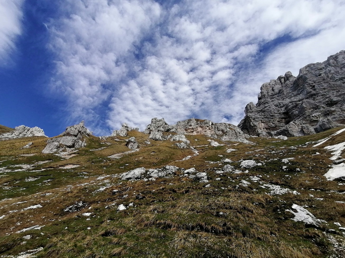 272636-2020-05-24-10.29.05.jpg