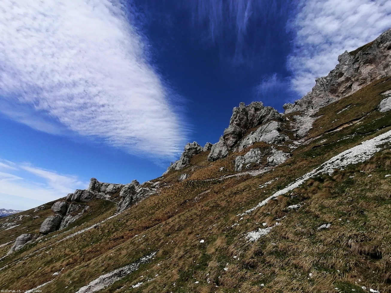 272637-2020-05-24-10.33.46.jpg