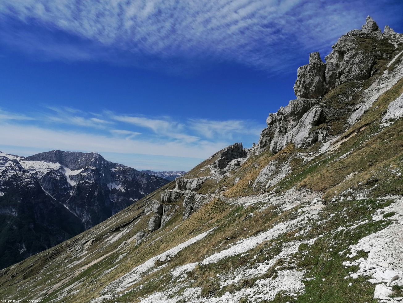 272638-2020-05-24-10.36.56.jpg