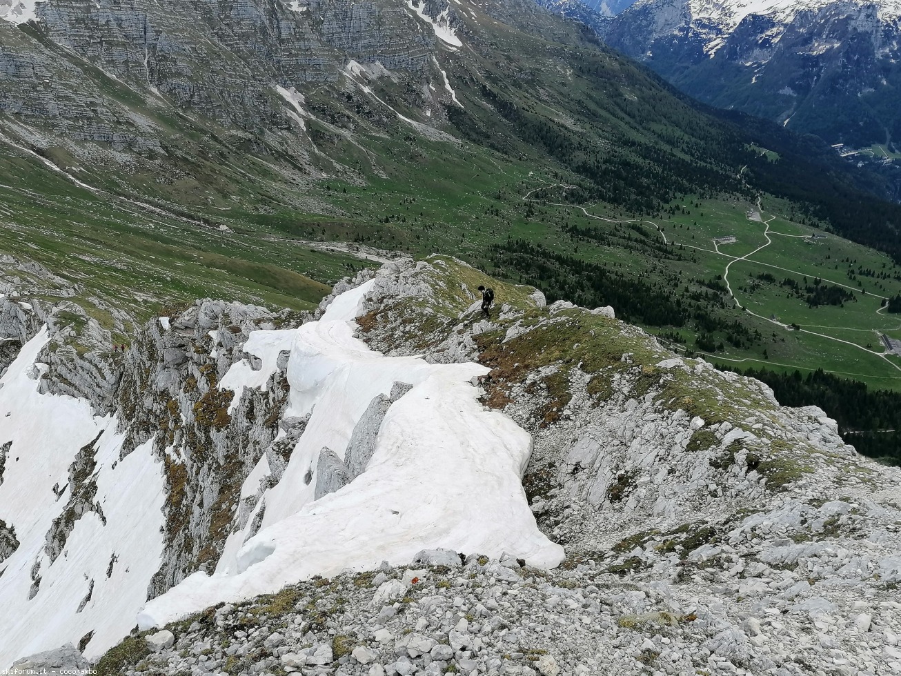 272652-2020-05-24-12.28.09.jpg