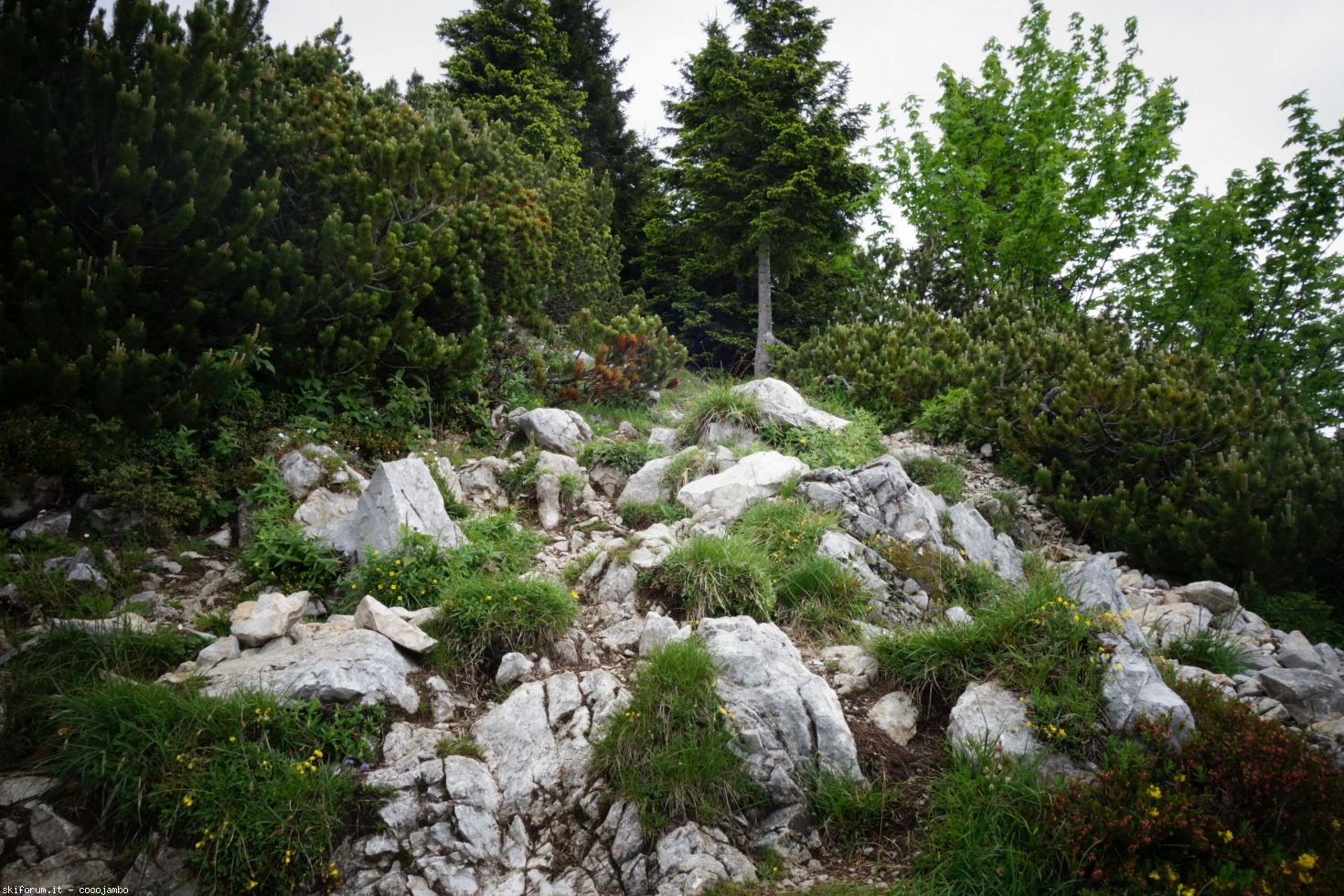 273175-dsc00754.jpg