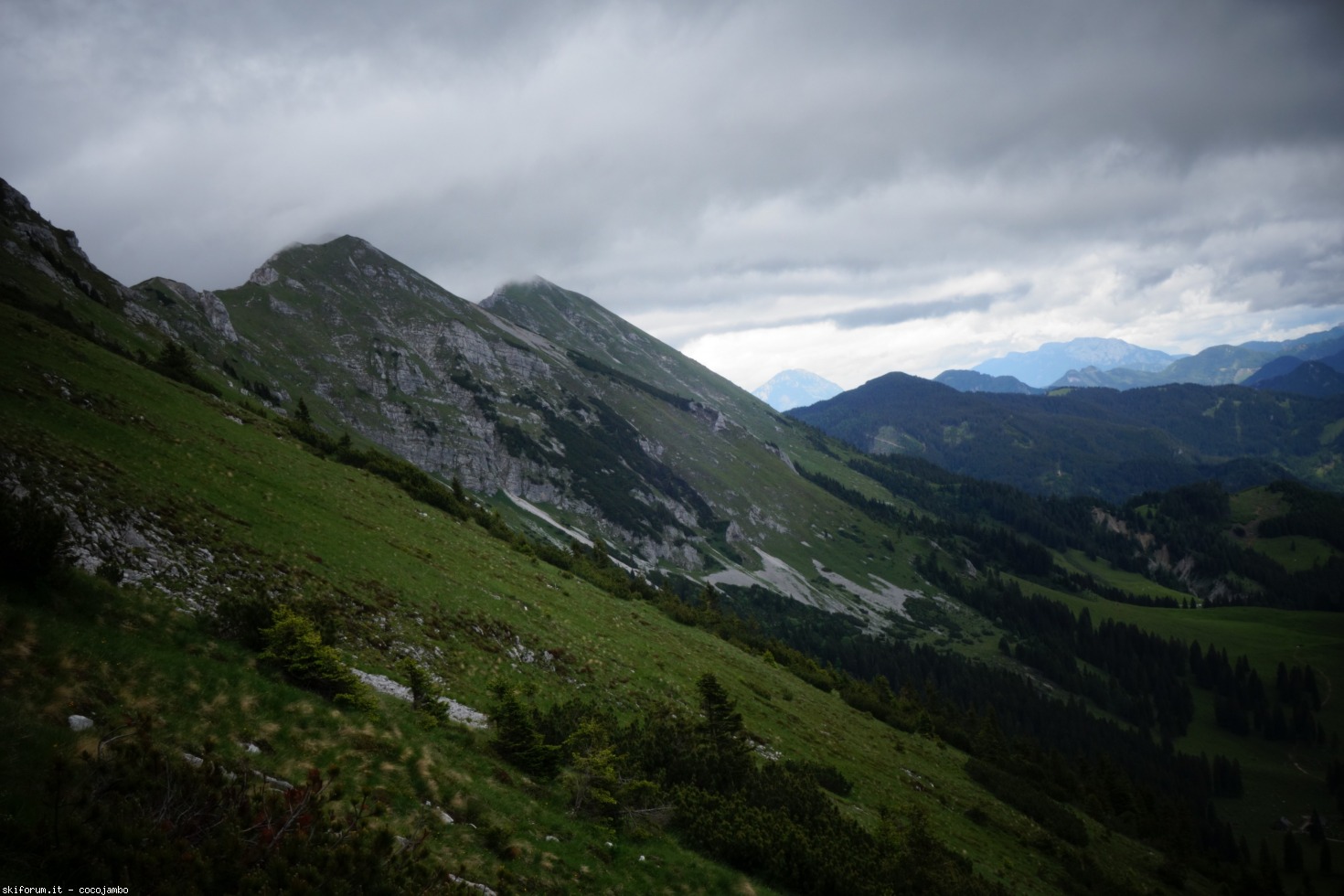 A Sud Del Confine A Ovest Del Sole Spiegazione Finale