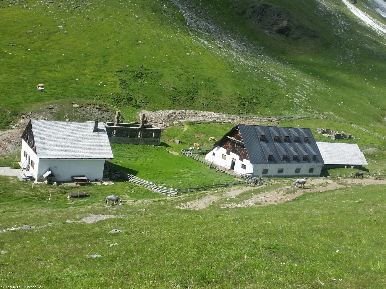 273464-46.jpg