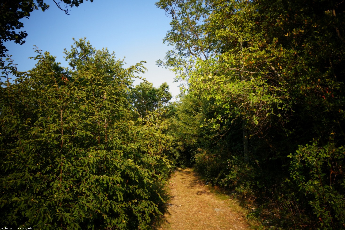 275120-dsc01597.jpg