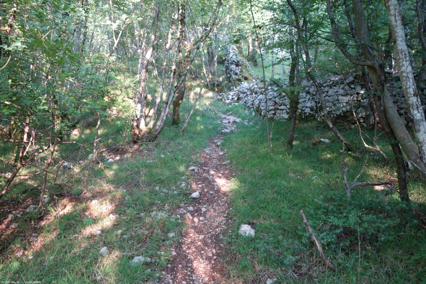 275124-dsc01605.jpg