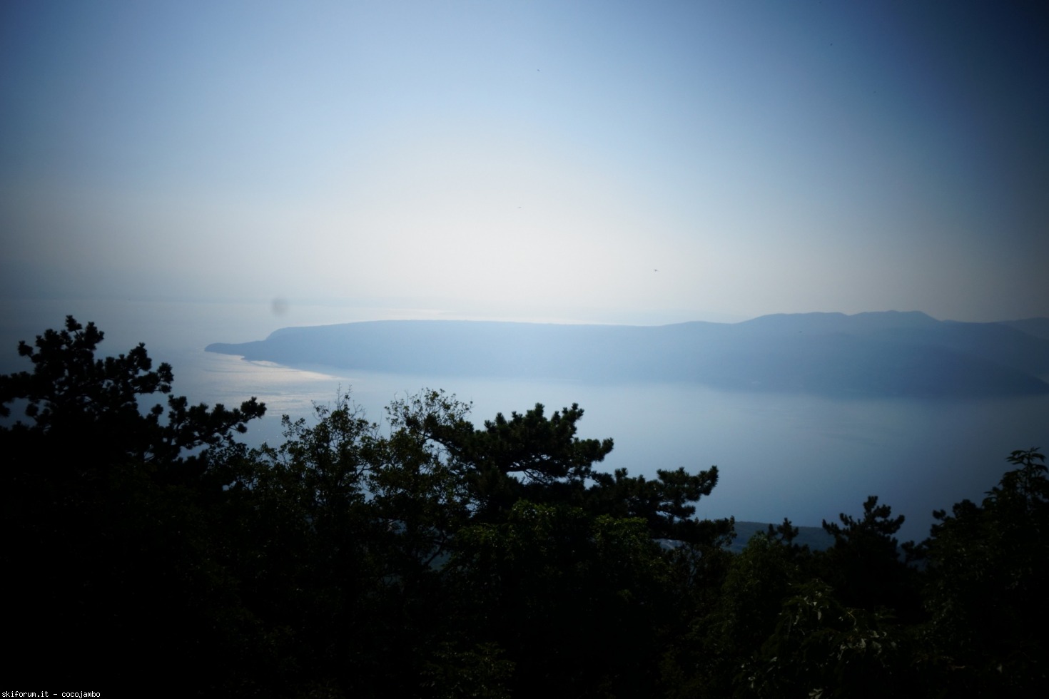 275145-dsc01646.jpg