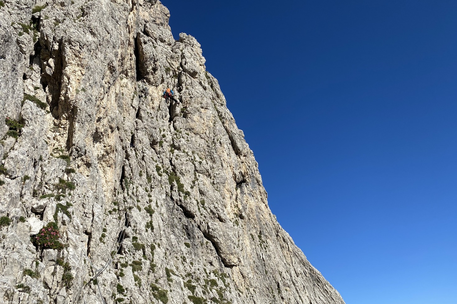 275228-sassolungo-20200801-sassolungo-30.jpg