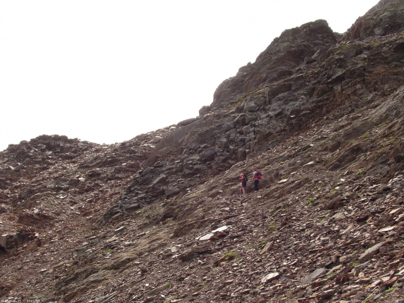 276253-monte-gaviola-immagine-223.jpg