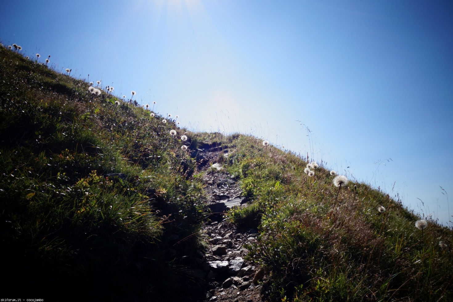 276730-dsc02178.jpg