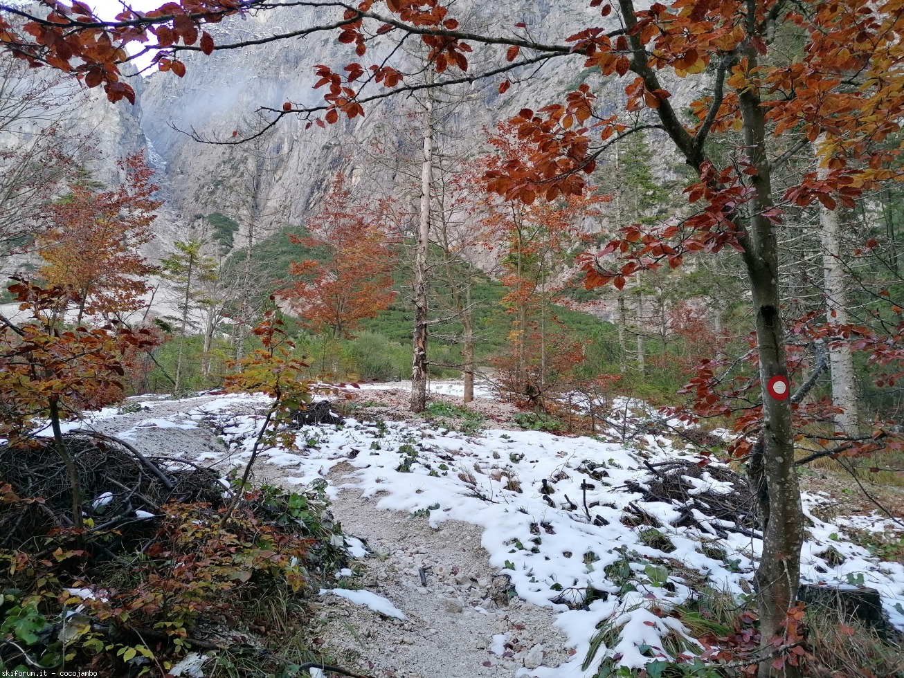 278438-2020-10-18-10.21.31.jpg