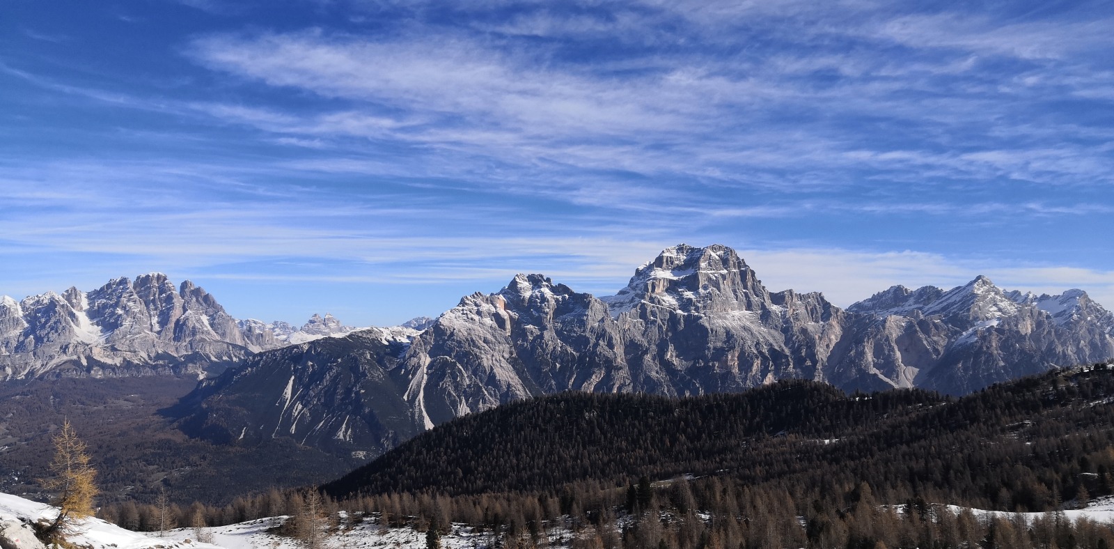 278731-12.jpg