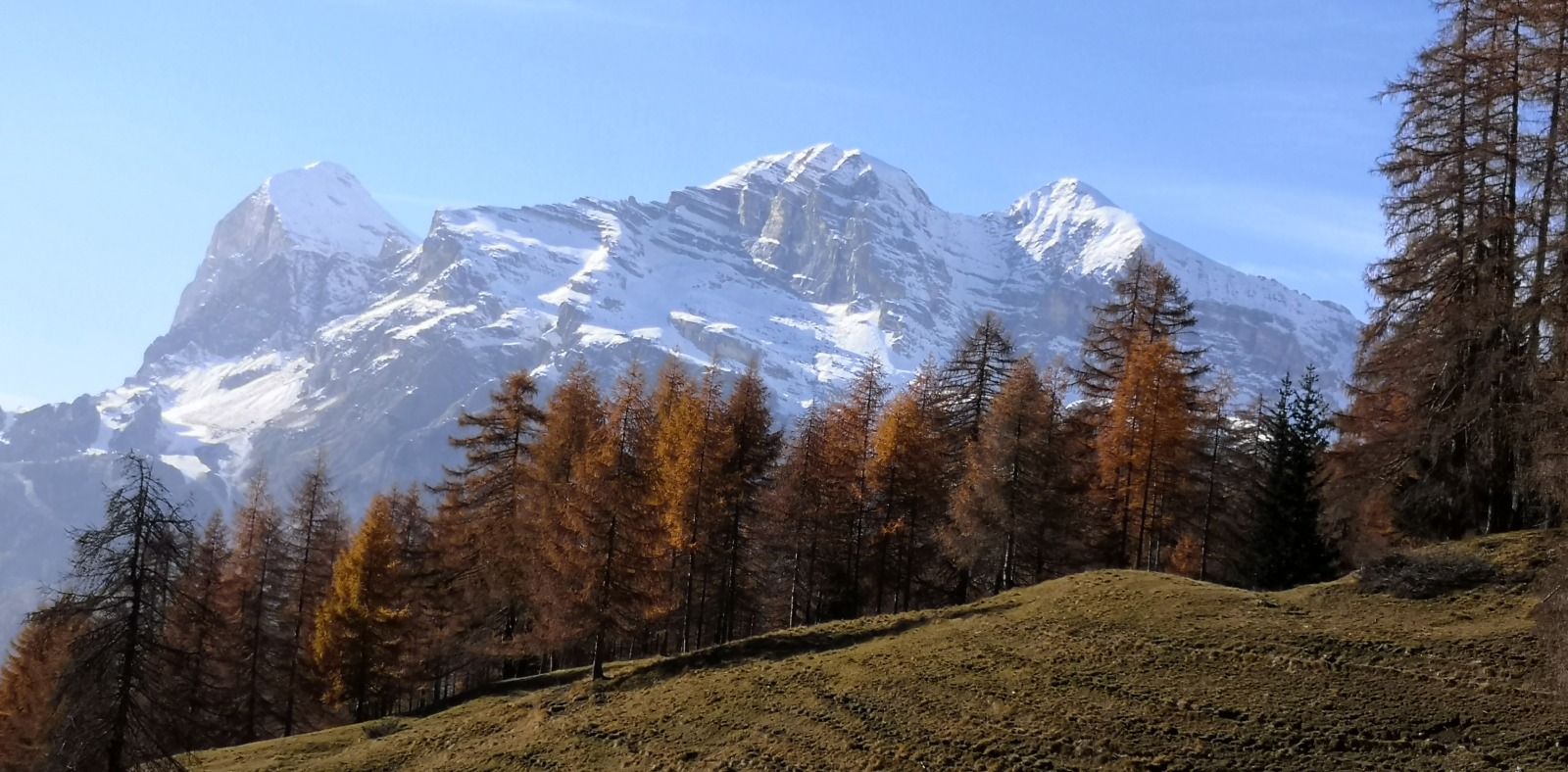 278734-tofane.jpg