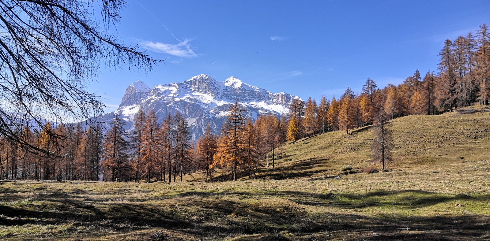 278735-tofane2.jpg