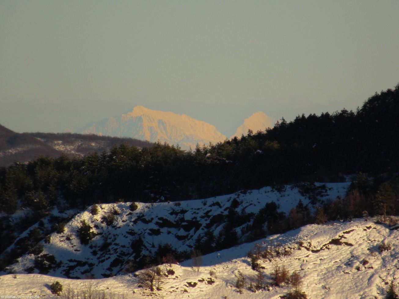 282050-appennino-piacentino-immagine-082.jpg