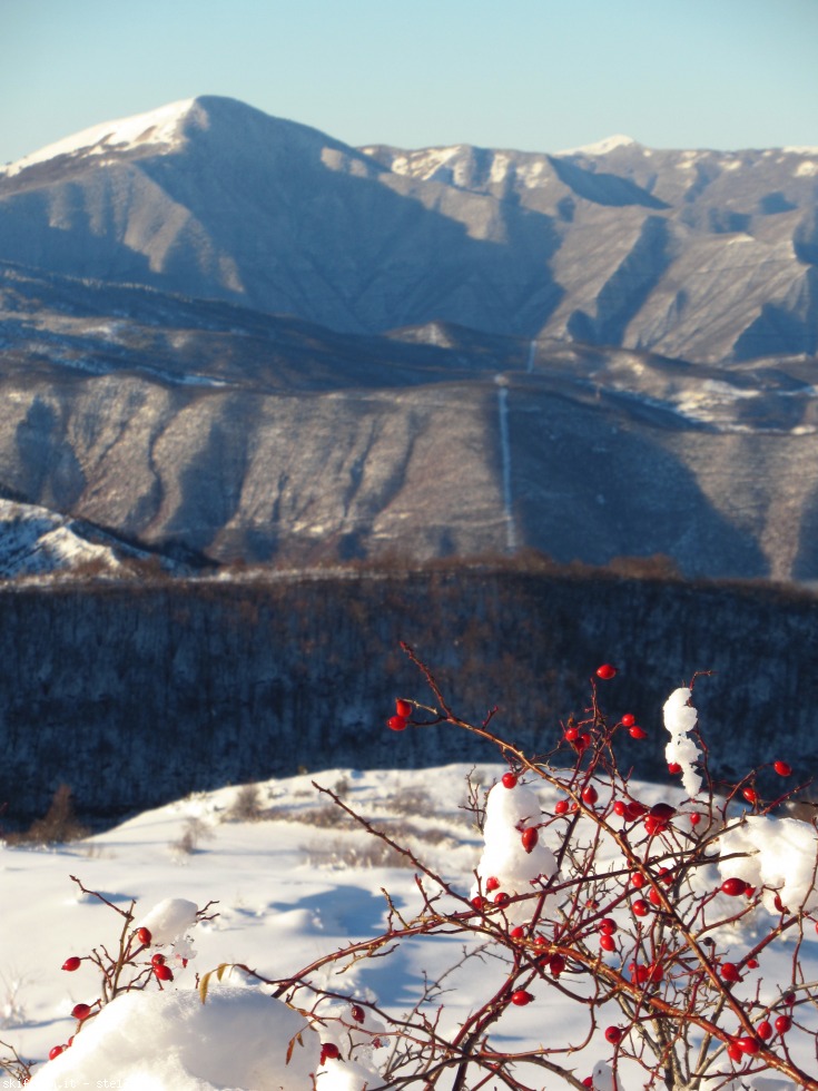 282054-appennino-piacentino-immagine-110.jpg