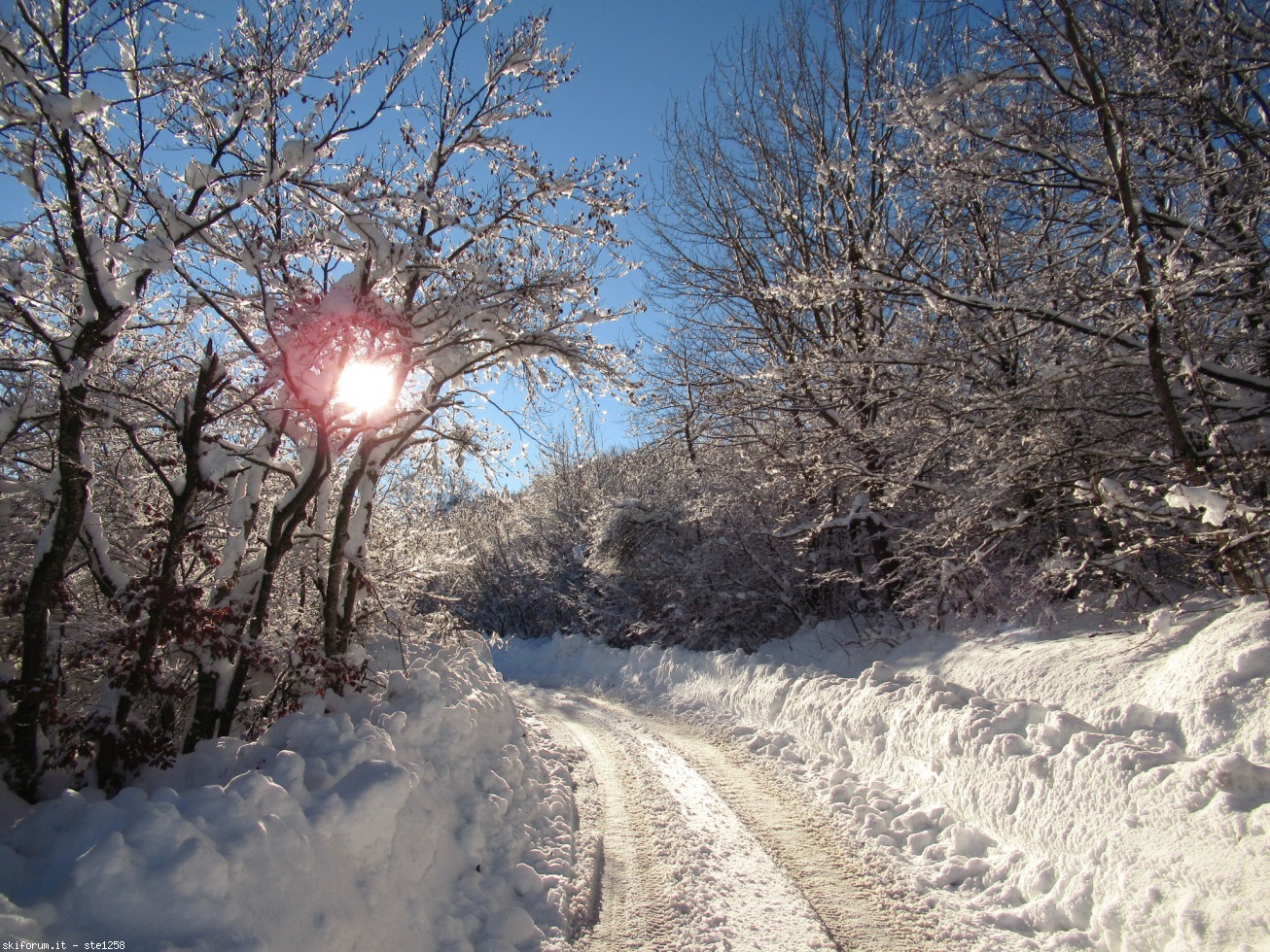 282060-appennino-piacentino-immagine-161.jpg