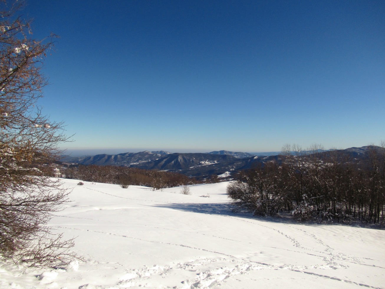 282074-appennino-piacentino-immagine-207.jpg