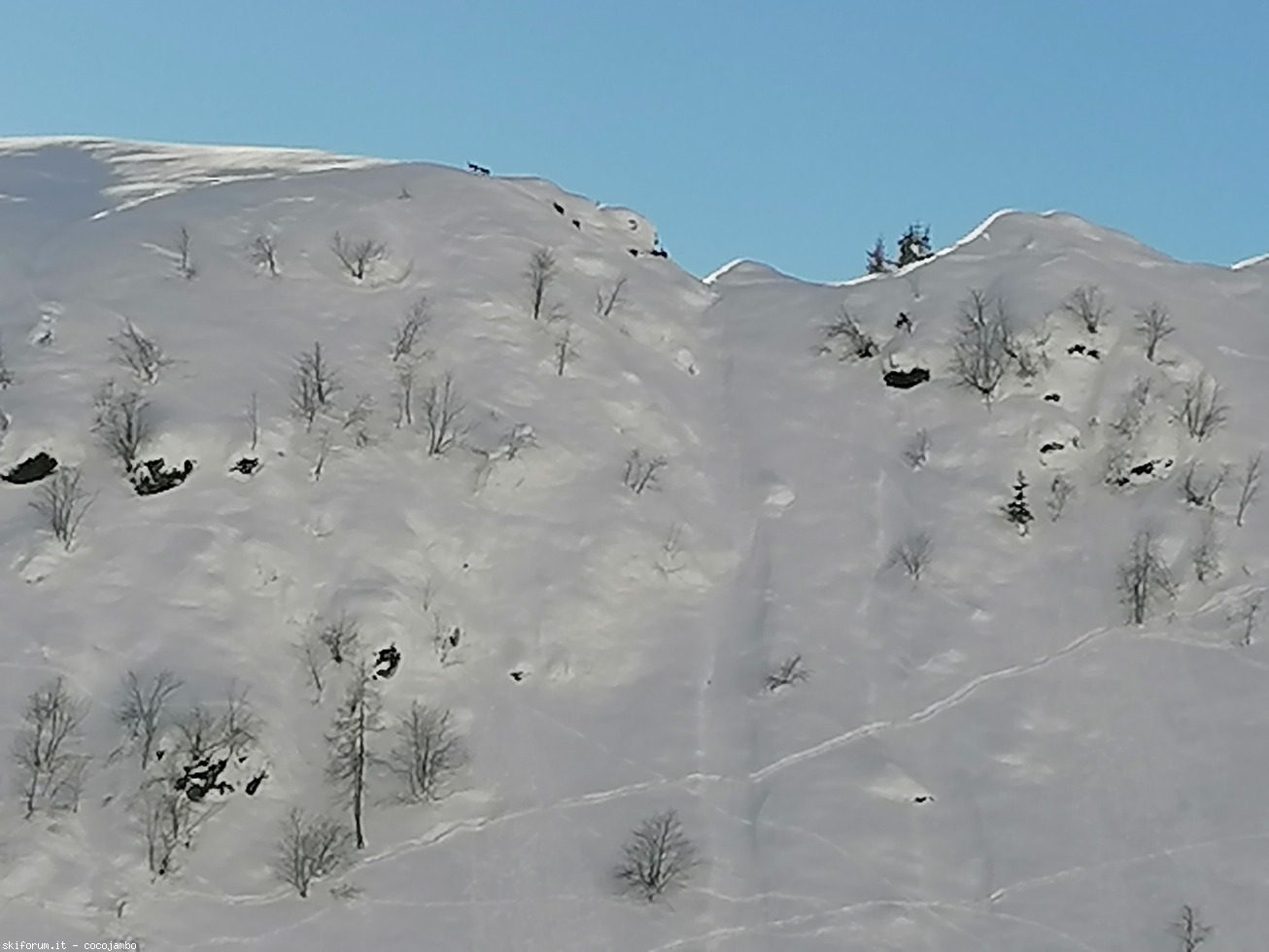 282501-2020-12-20-10.14.53.jpg