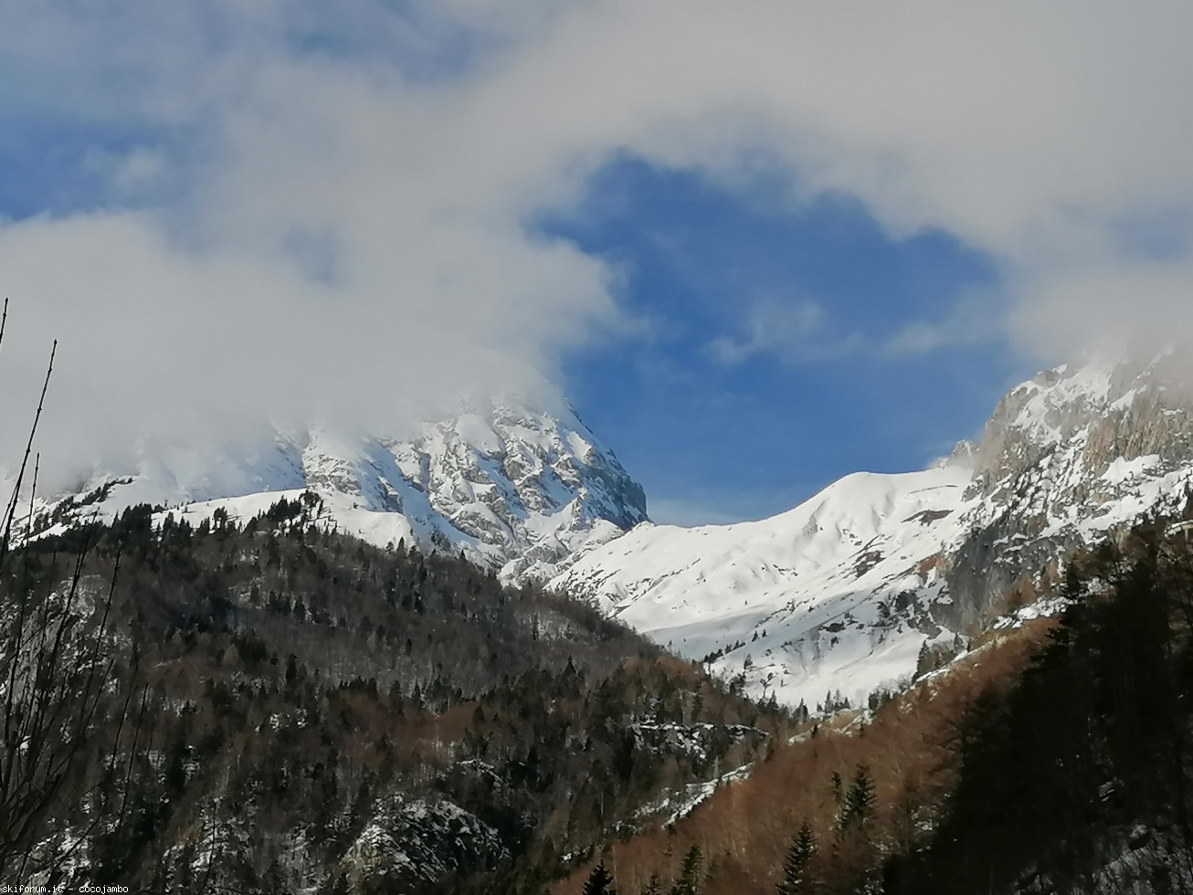 282509-2020-12-20-12.40.16.jpg