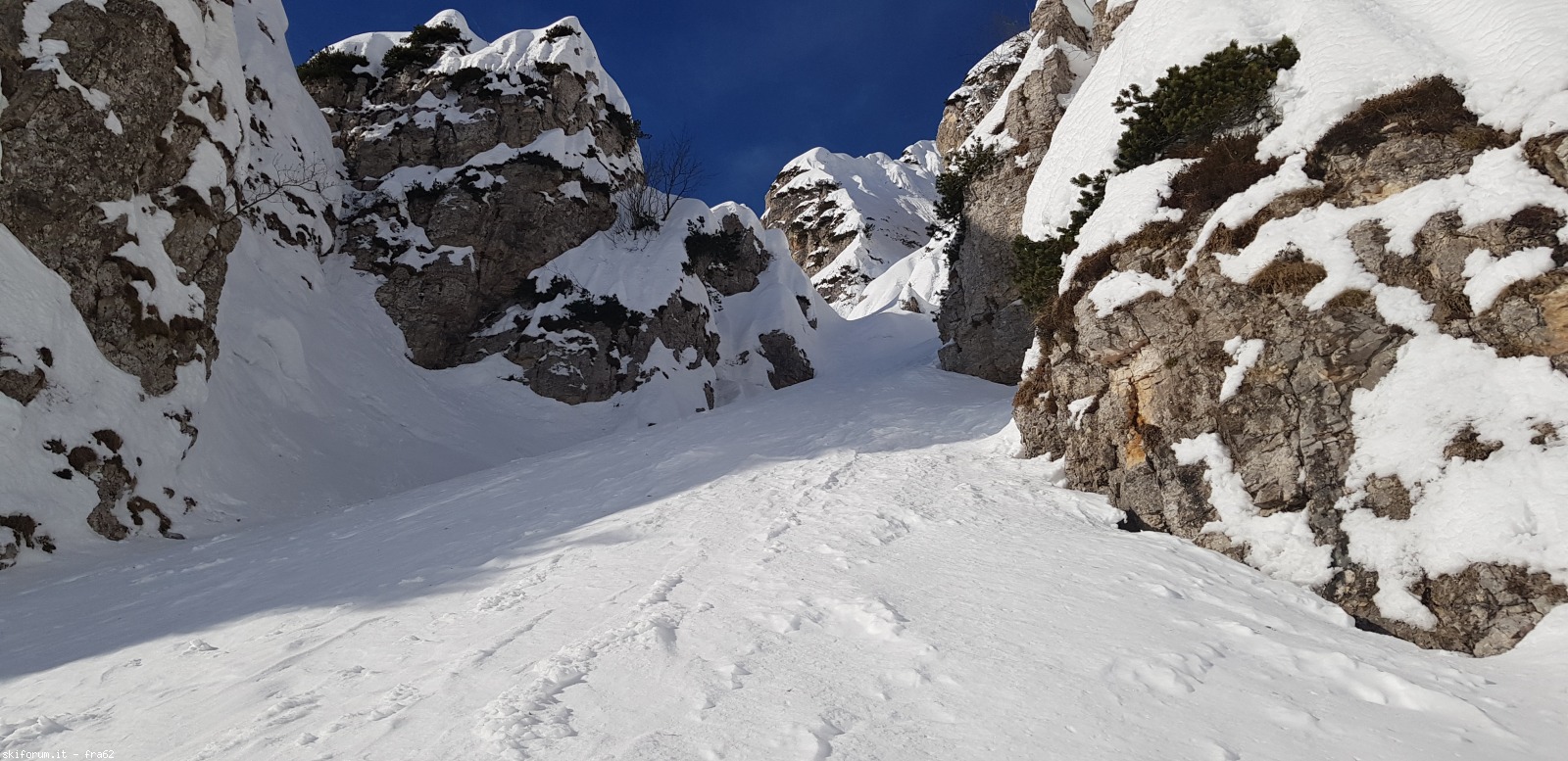 285062-pelegatta-20210130094536.jpg