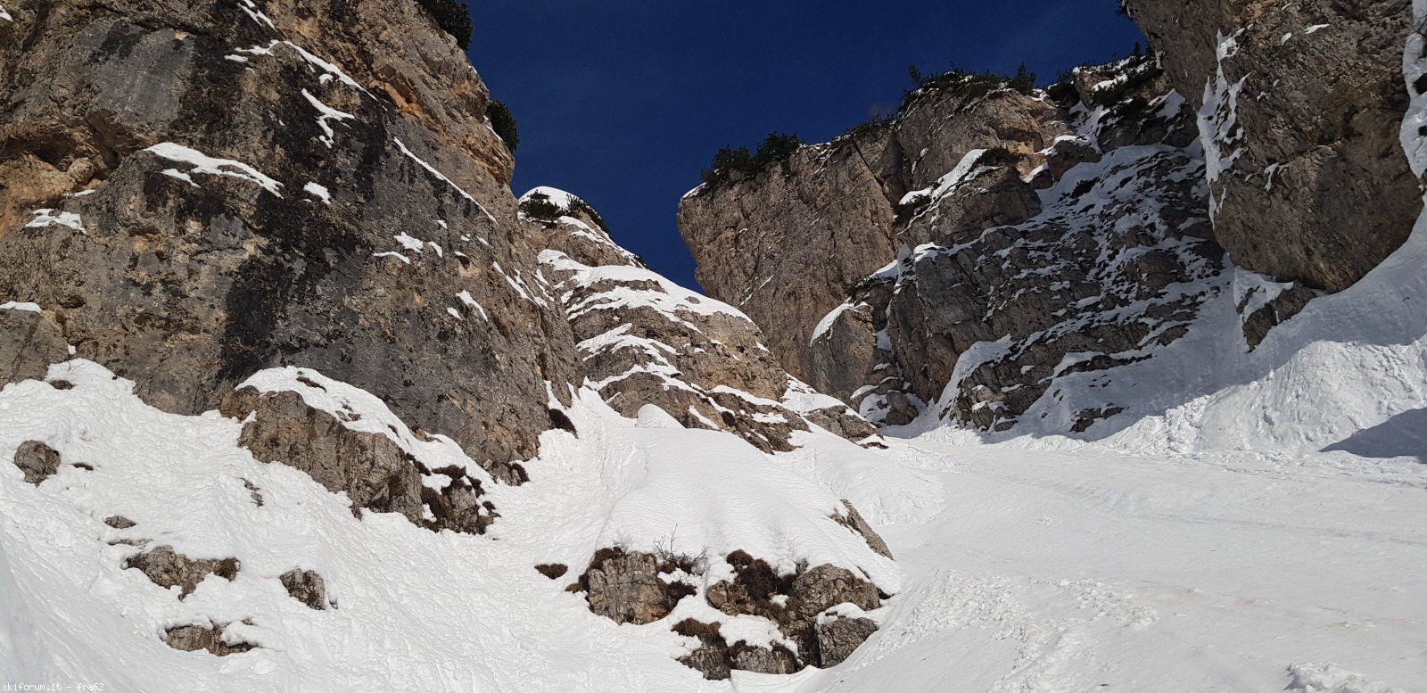 285063-pelegatta-20210130094538.jpg