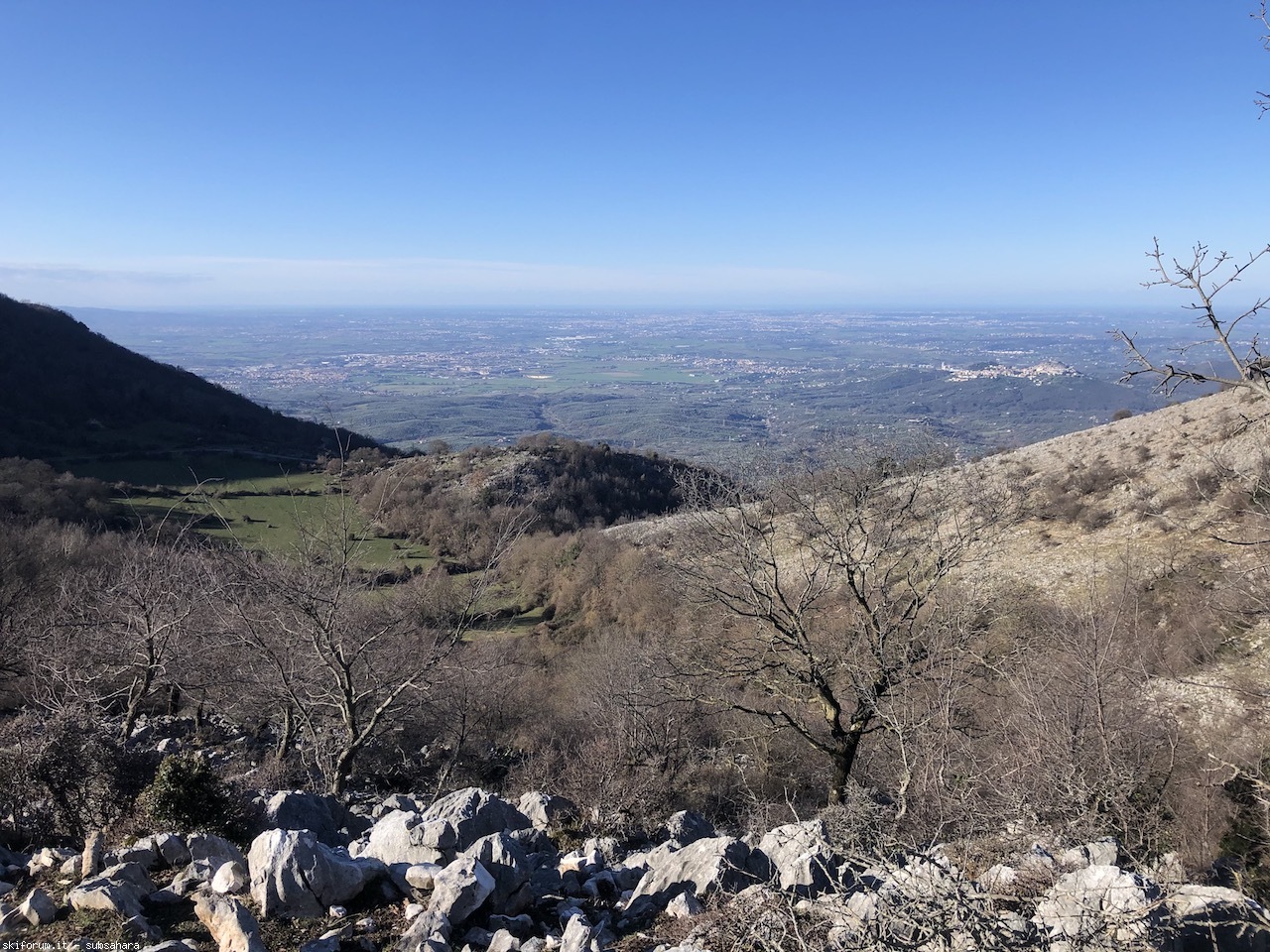 286033-gennaro-img2766.jpg