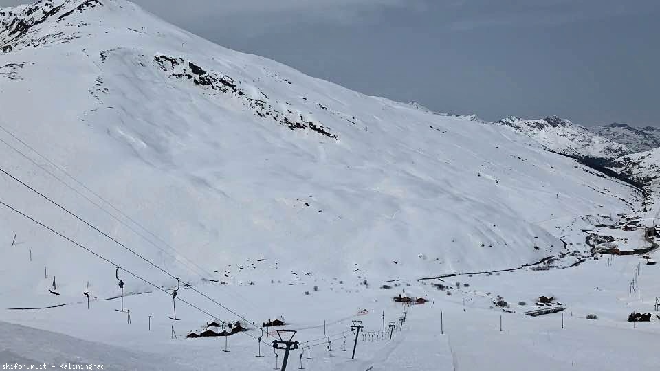 287153-sciovia-corta-3.jpeg