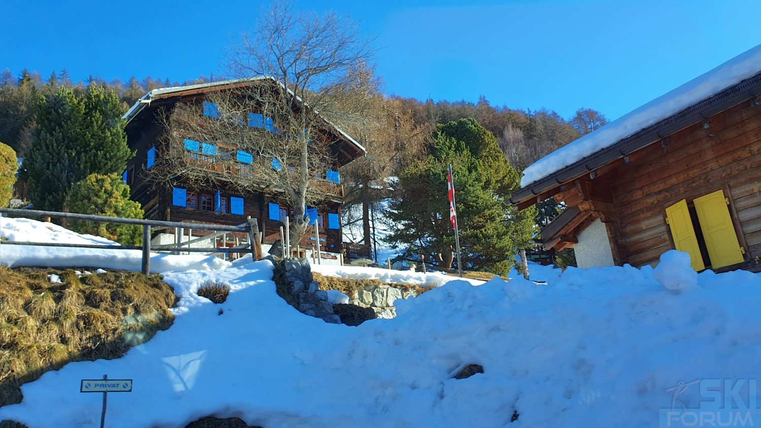 287399-stlucchandolin-5.jpg