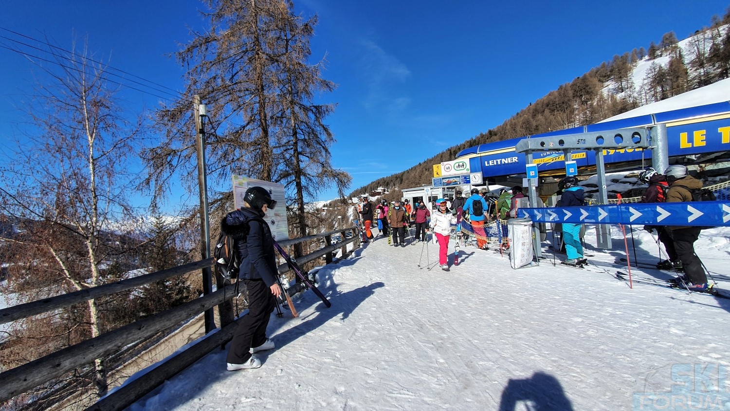 287401-stlucchandolin-7.jpg