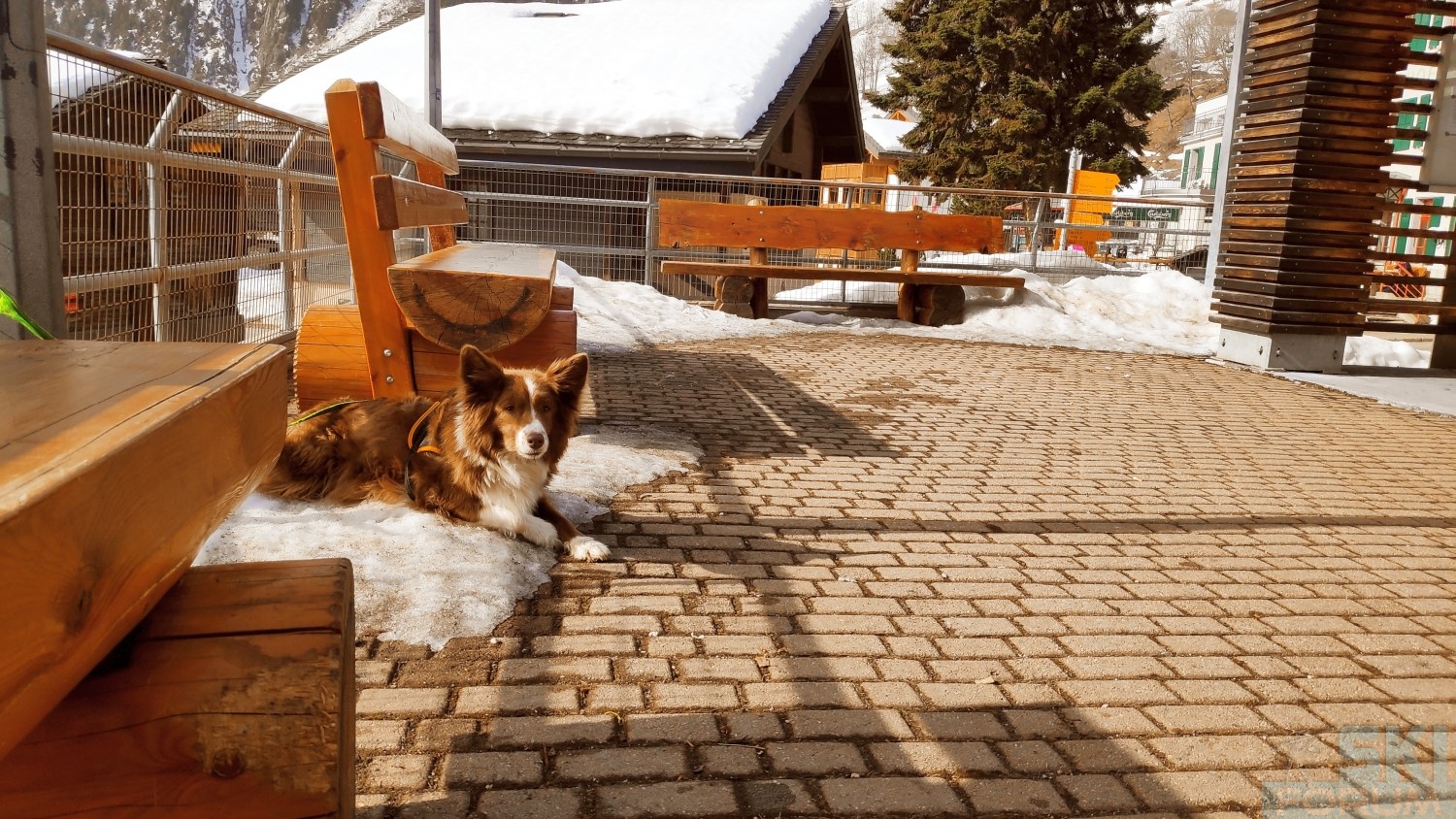 288609-sciare-a-belalp-in-vallese-8.jpg
