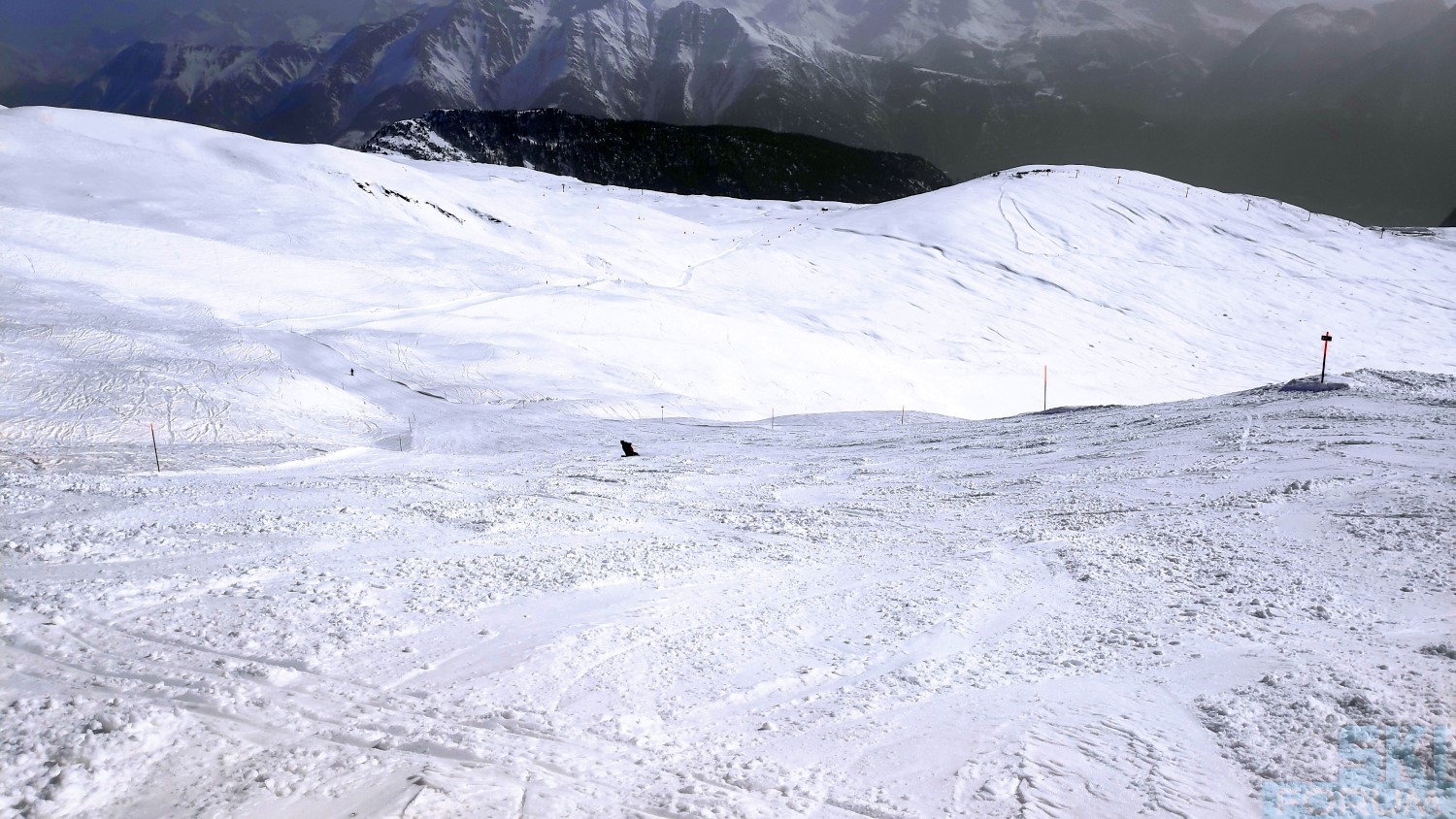 288688-sciare-a-belalp-in-vallese-85.jpg