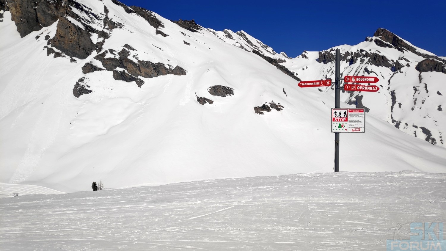 291766-sciare-ad-ovronnaz-e-guidare-in-svizzera-74.jpg