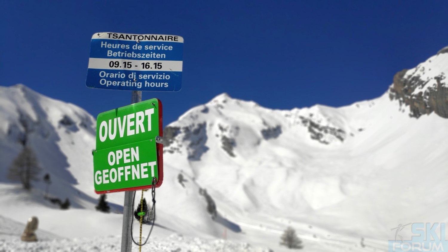 291767-sciare-ad-ovronnaz-e-guidare-in-svizzera-75.jpg