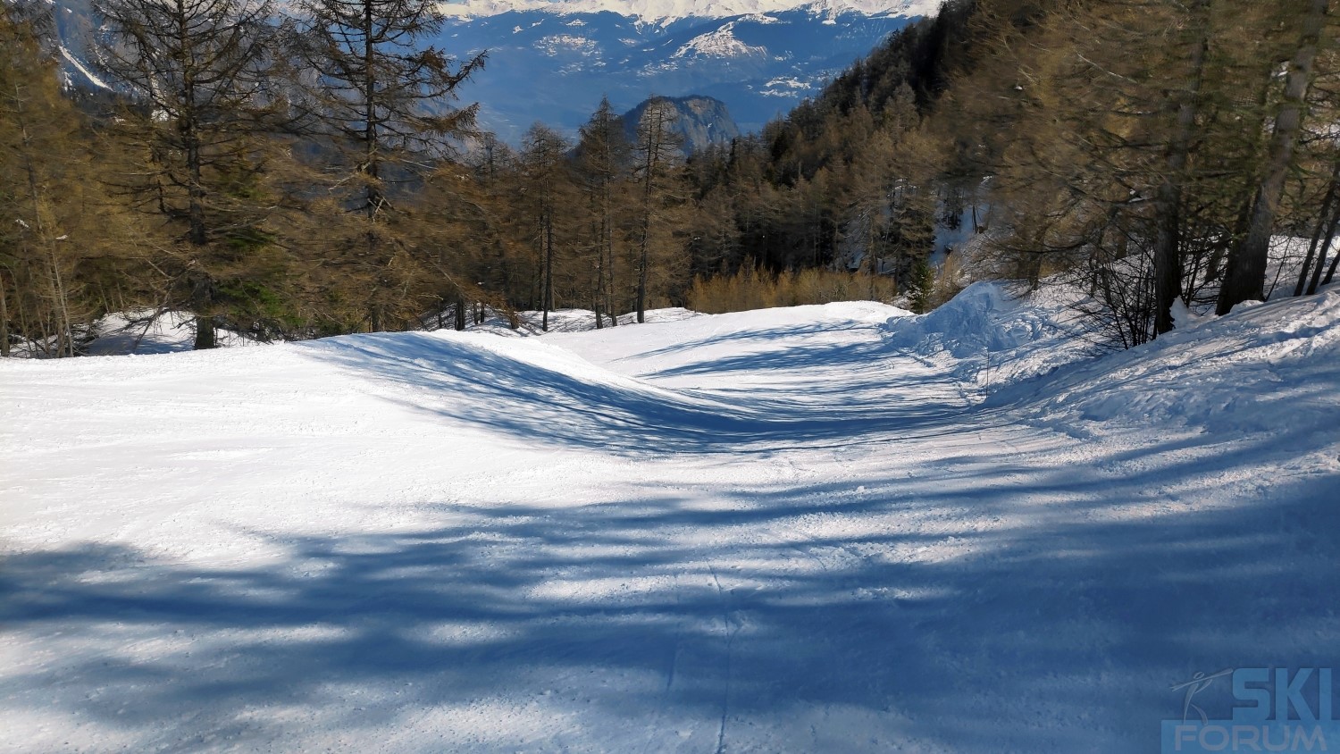 291817-sciare-ad-ovronnaz-e-guidare-in-svizzera-125.jpg