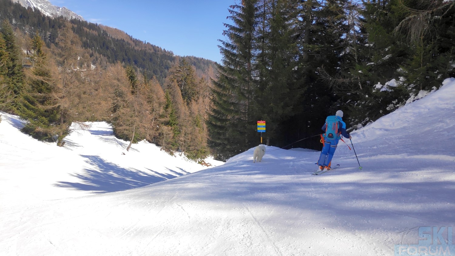 291820-sciare-ad-ovronnaz-e-guidare-in-svizzera-128.jpg