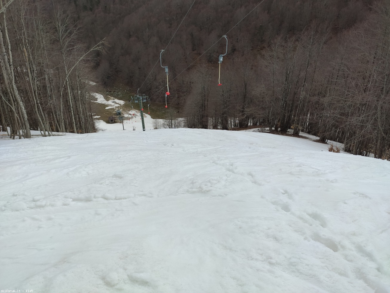291992-img20210418134841.jpg