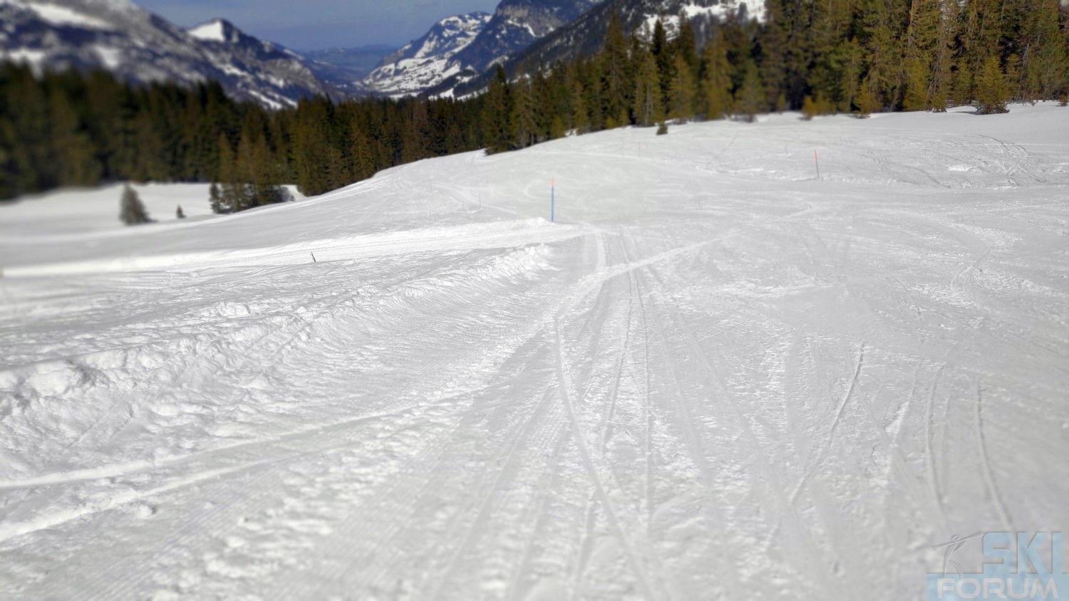 292681-ski-in-soeremberg-in-svizra-77.jpg