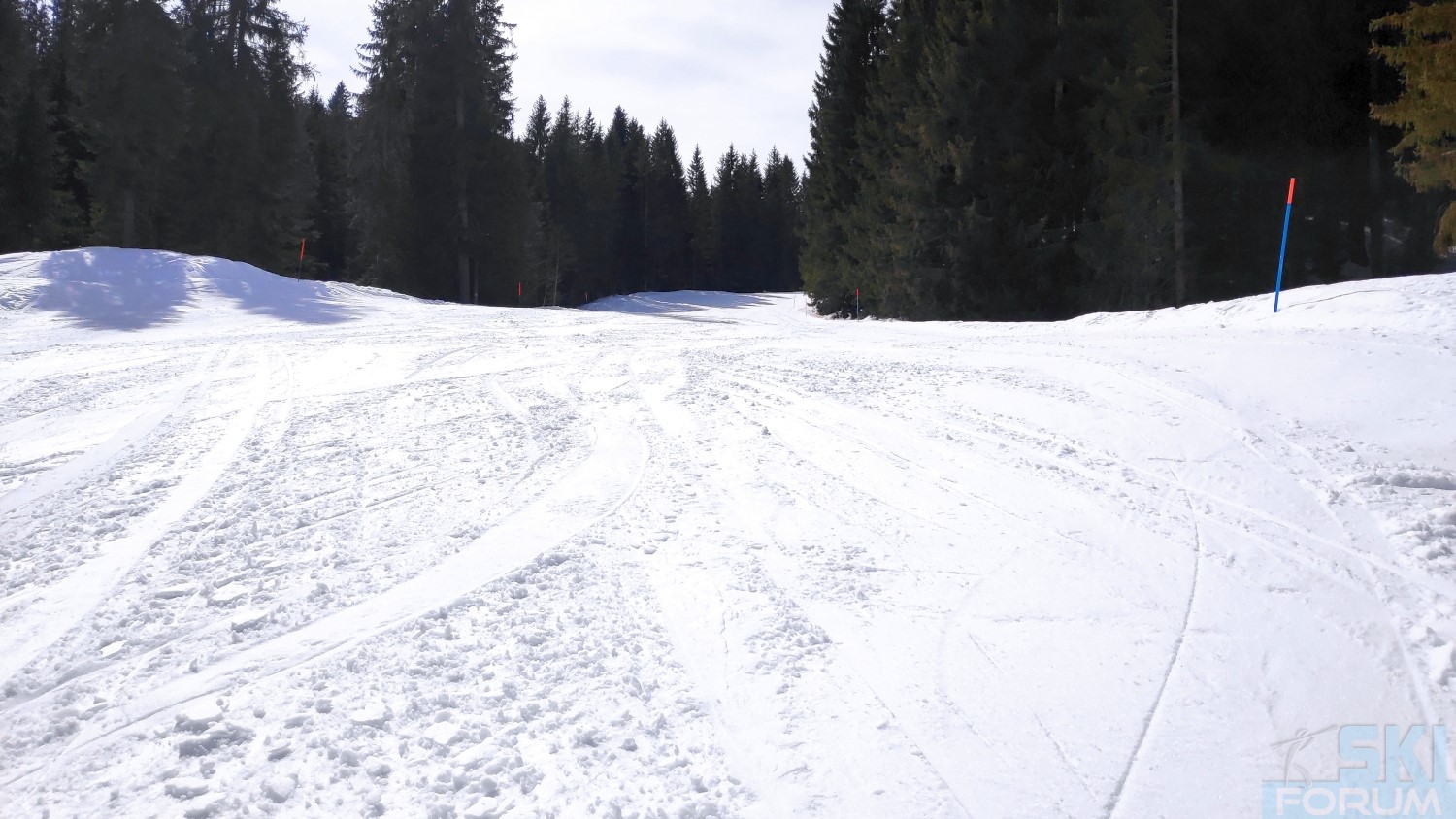 292685-ski-in-soeremberg-in-svizra-81.jpg