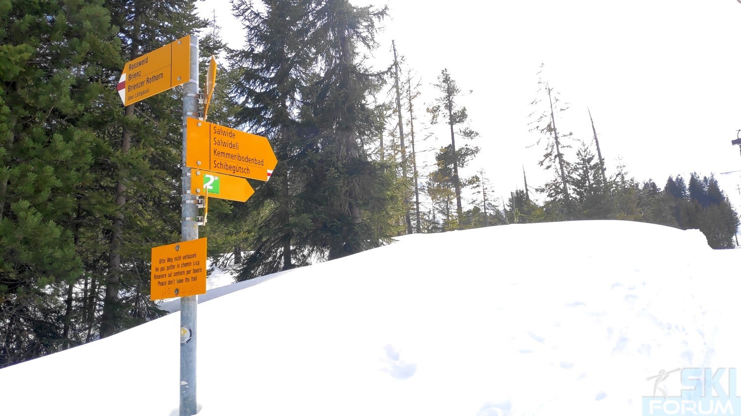 292691-ski-in-soeremberg-in-svizra-87.jpg