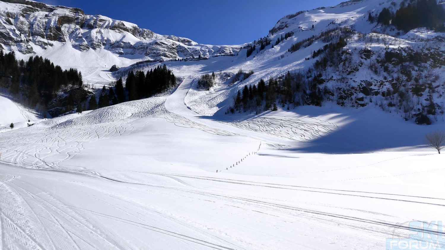 292789-ski-in-soeremberg-in-svizra-185.jpg