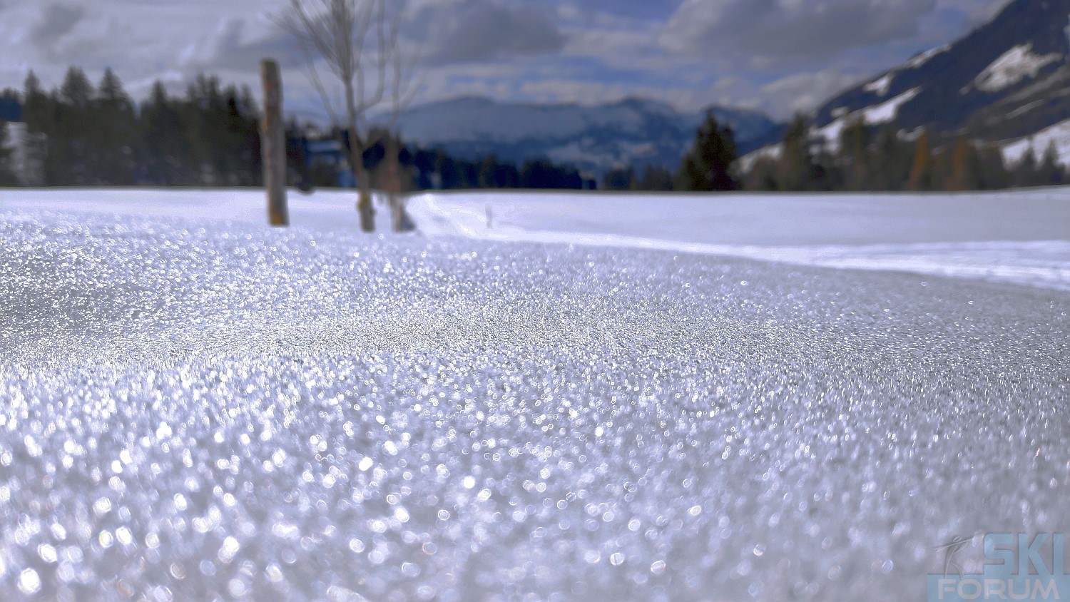 292792-ski-in-soeremberg-in-svizra-188.jpg