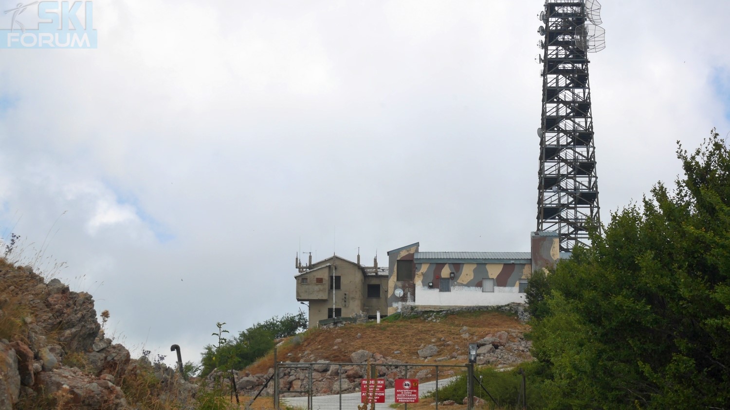 293336-telefono-strada-12.jpg