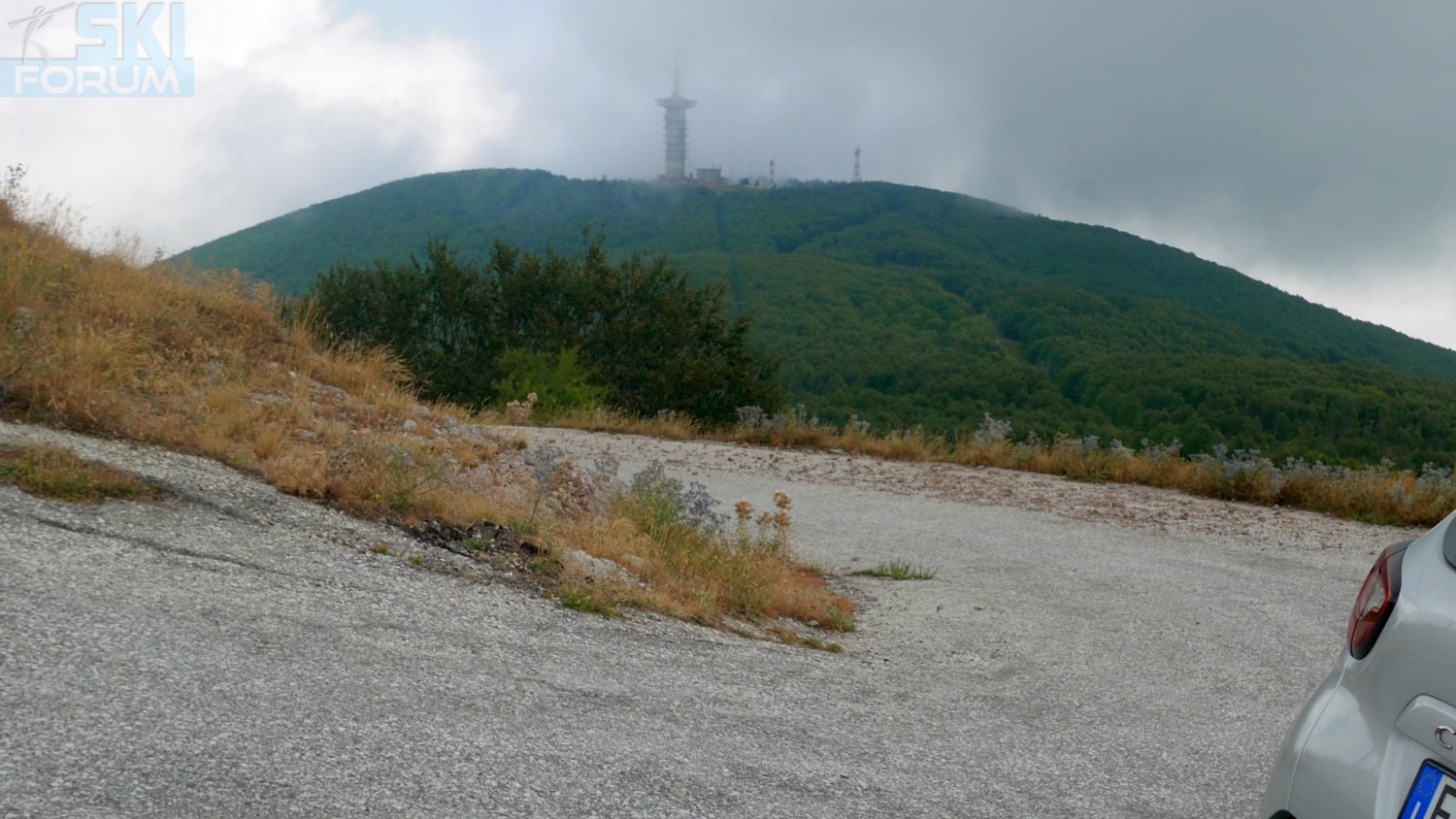293352-telefono-strada-15.jpg