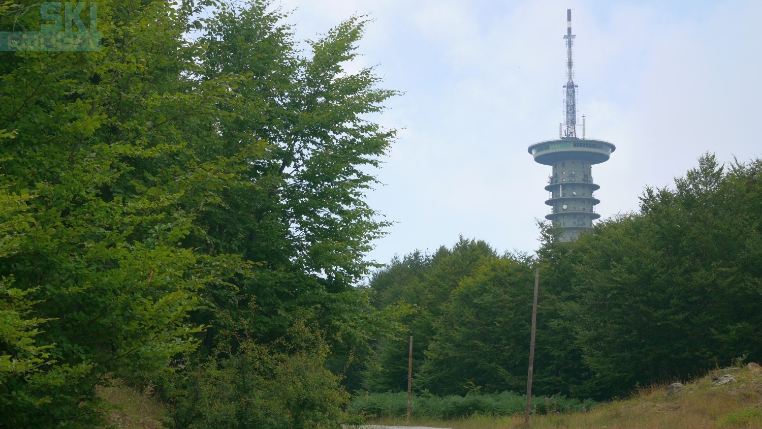 293353-telefono-strada-16.jpg