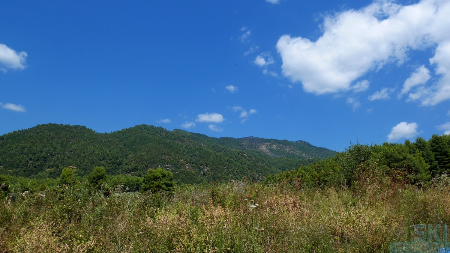 293501-eubea-grecia-15.jpg