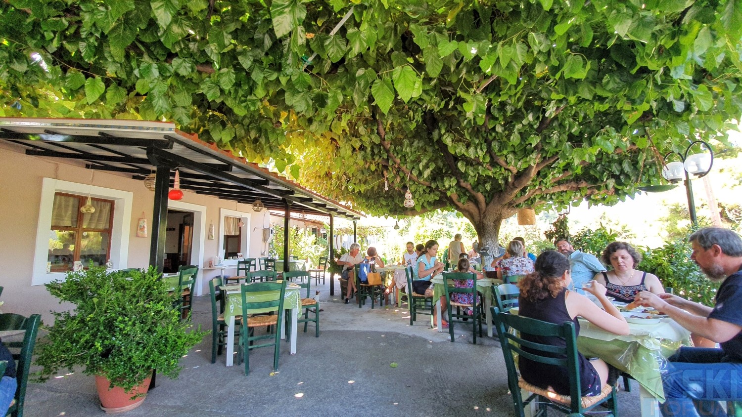 293504-evia-greece-13.jpg