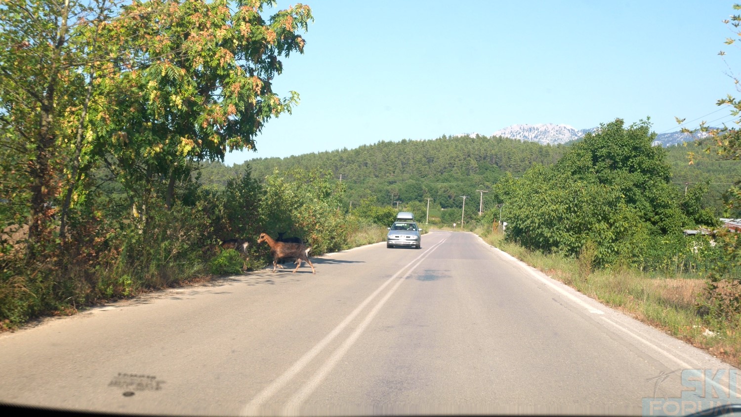 293523-eubea-grecia-23.jpg