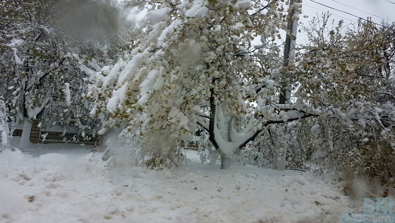 293856-moldova-snow-12.jpg