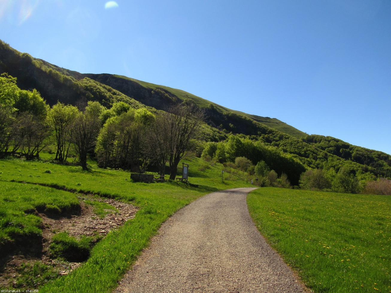 294490-giro-delle-4-province-181.jpg