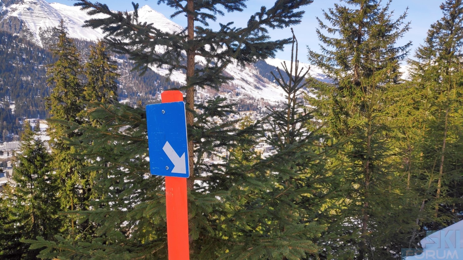 294618-sciare-a-davos-jakobs-horn-110.jpg